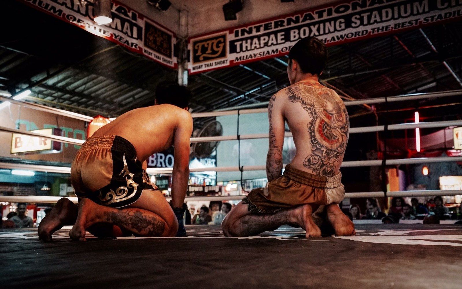 Muay Thai stadium ring under working lights, two adults in the ring, stadium seating visible behind ropes