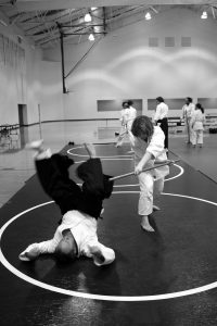 aikido-362952_1920