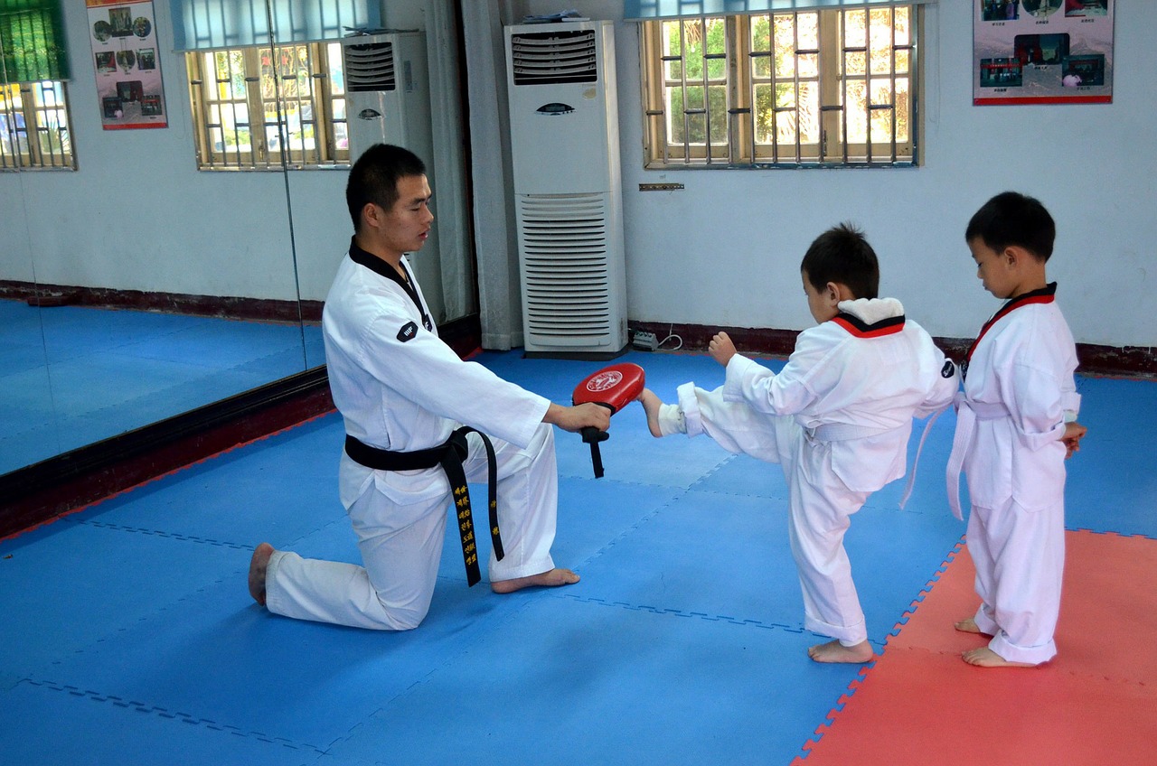 Five Best Martial Art Bloggers