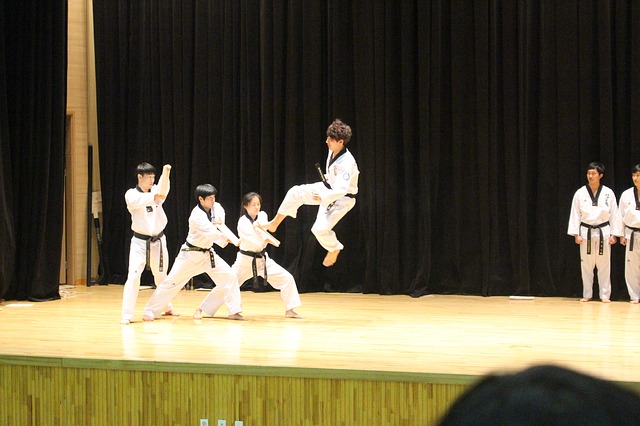 Taekwando Korea’s Official National Martial Art